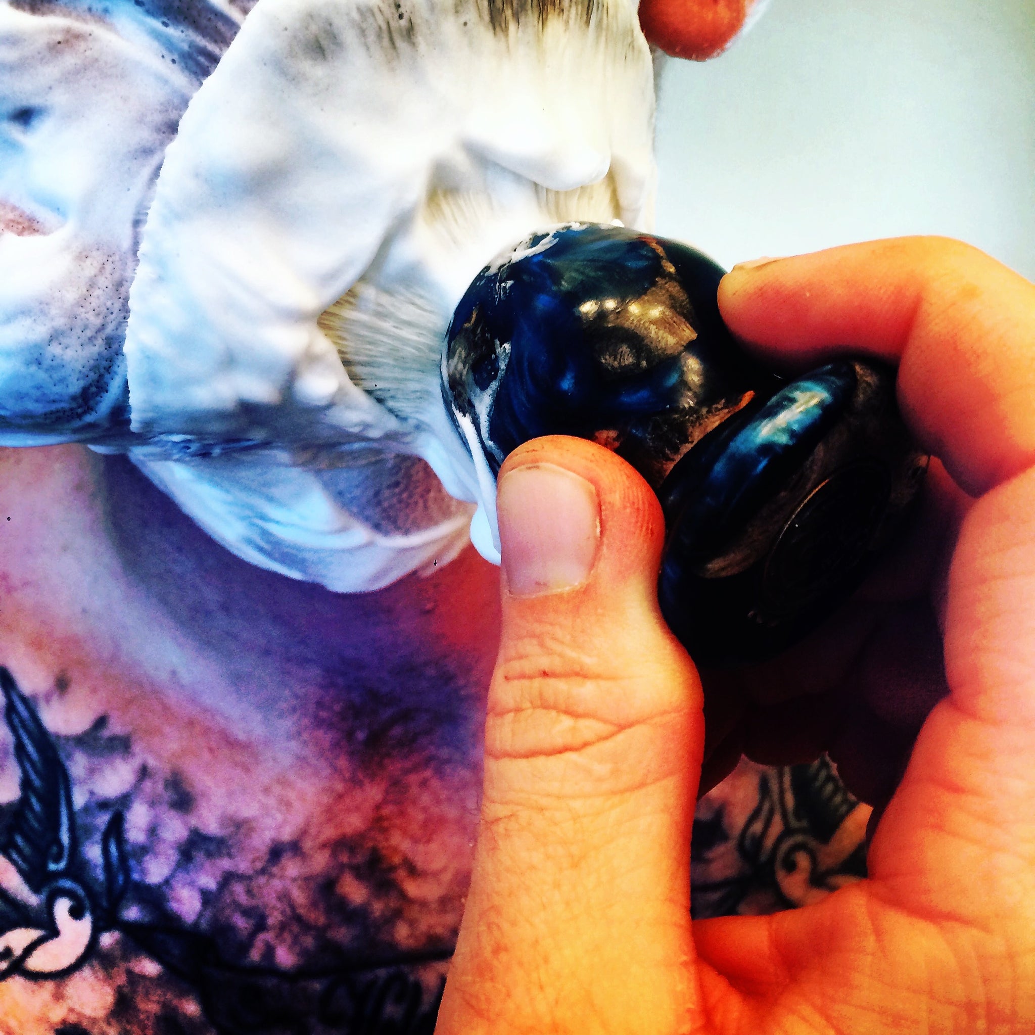 Collections – CreationsByWill