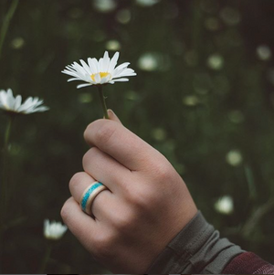 Custom Bentwood Ring - CreationsByWill